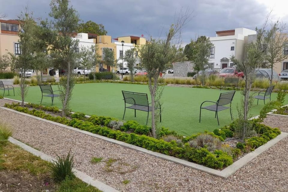 Garden