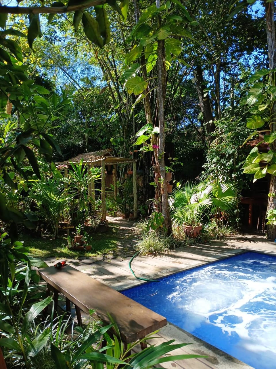 Natural landscape, Garden, Garden view, Pool view, Swimming pool