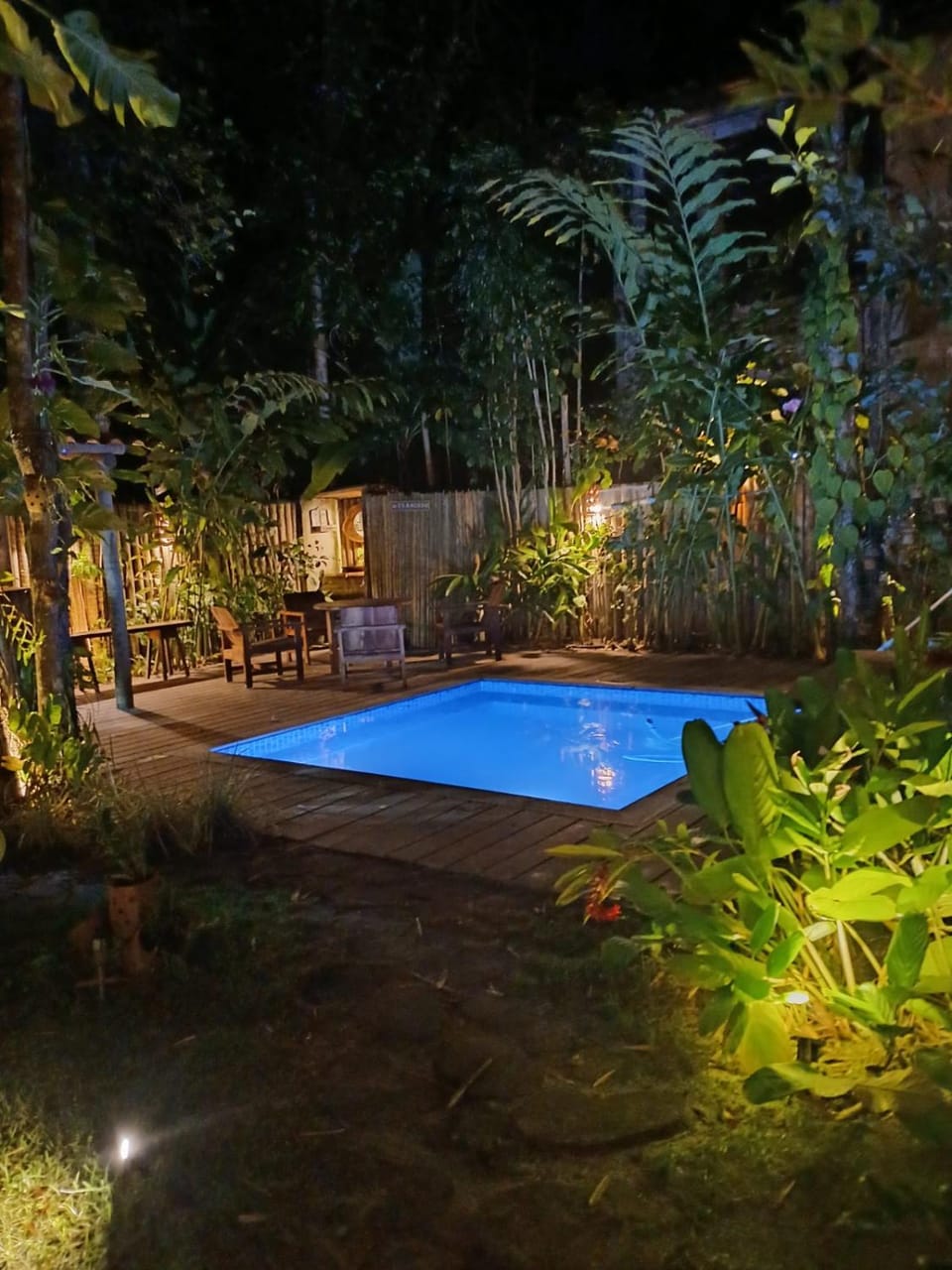 Night, Garden, Garden view, Pool view, Swimming pool, Inner courtyard view