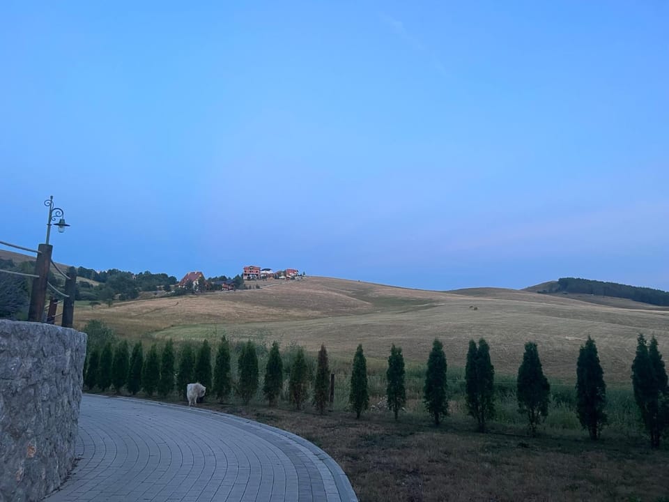 Mountain view