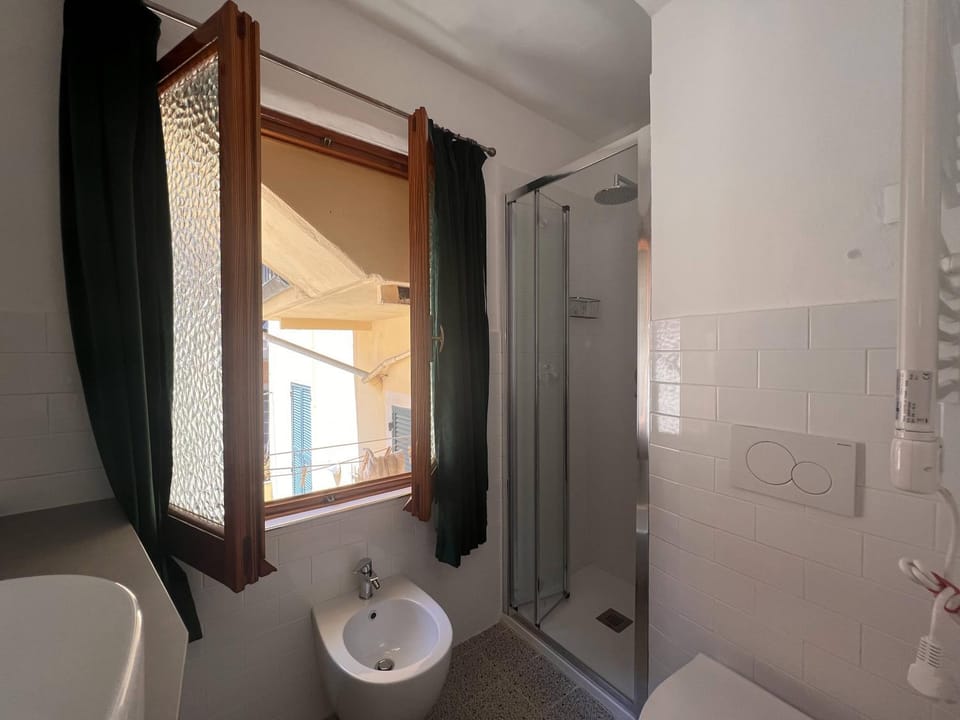 Shower, Bathroom, bidet