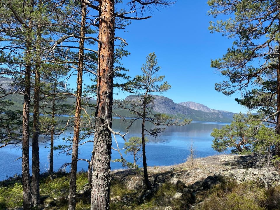 Nissedal- en liten perle ved Nisser House in Viken, Norway