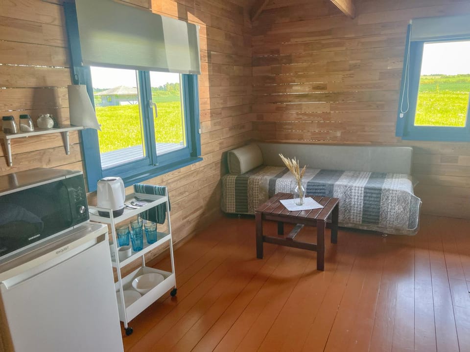 Kitchen or kitchenette, Living room, Seating area, Dining area