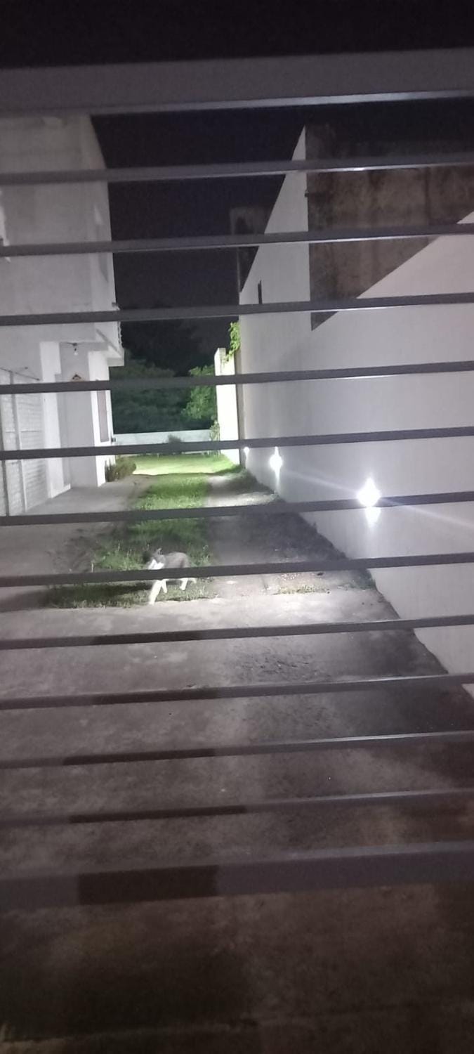 Barra Tres Apartment in Tandil