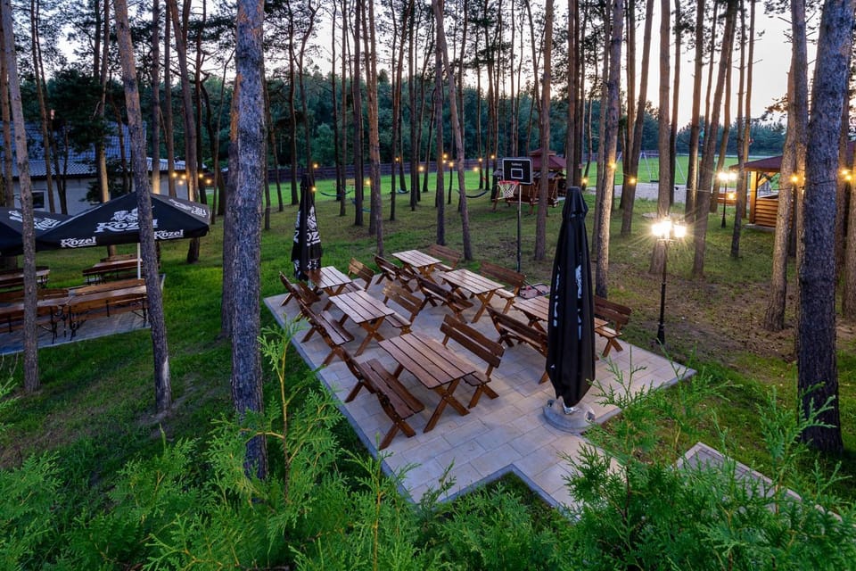 Children play ground, Garden, Garden view, Sports, Entertainment, Entertainment