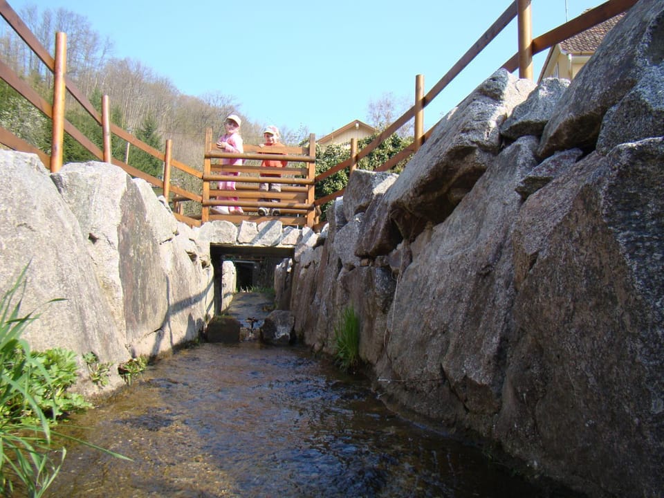 Area and facilities