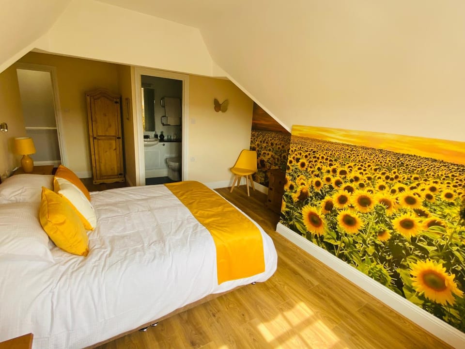 Photo of the whole room