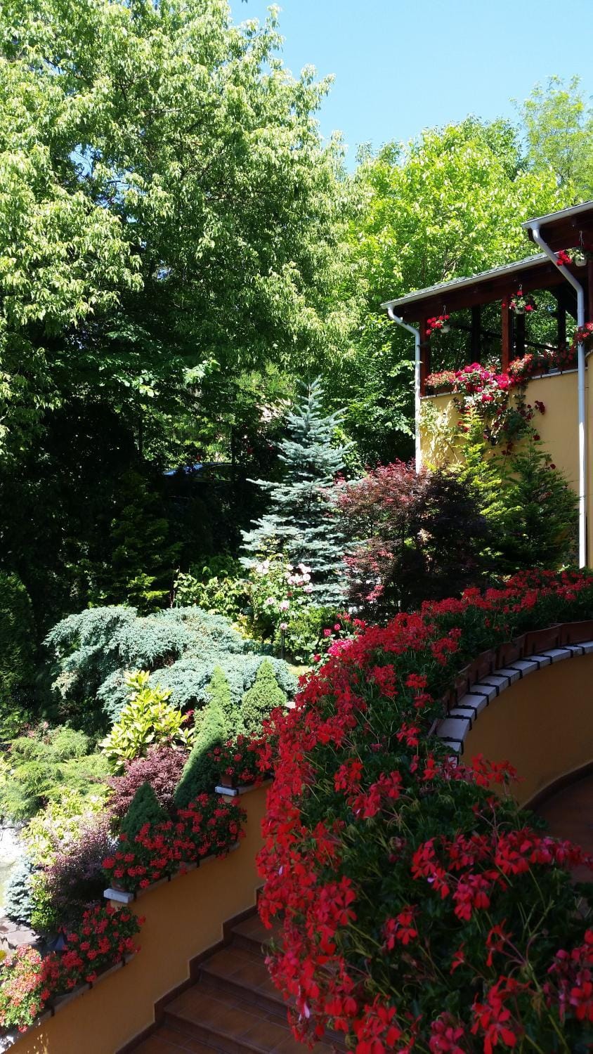 Pensiunea Europa Bed and Breakfast in Romania