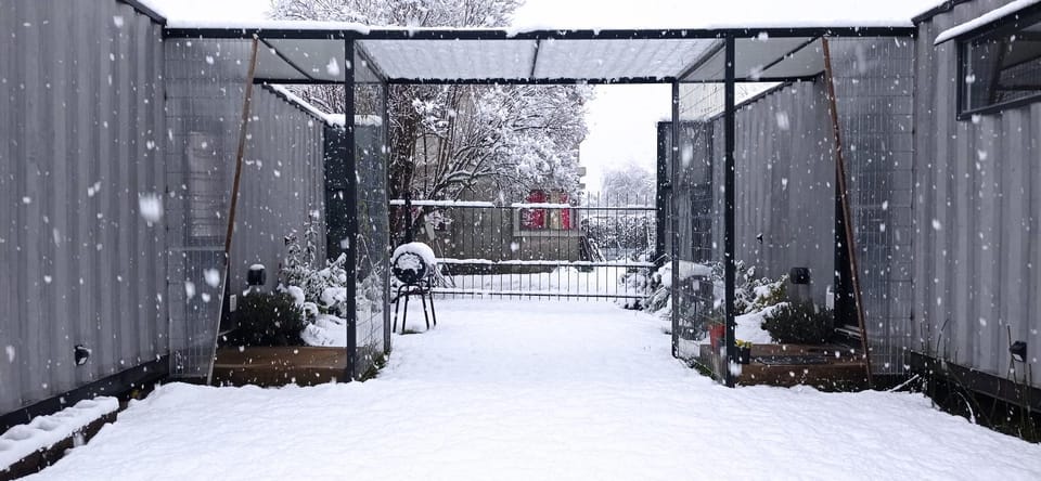 Patio, Winter