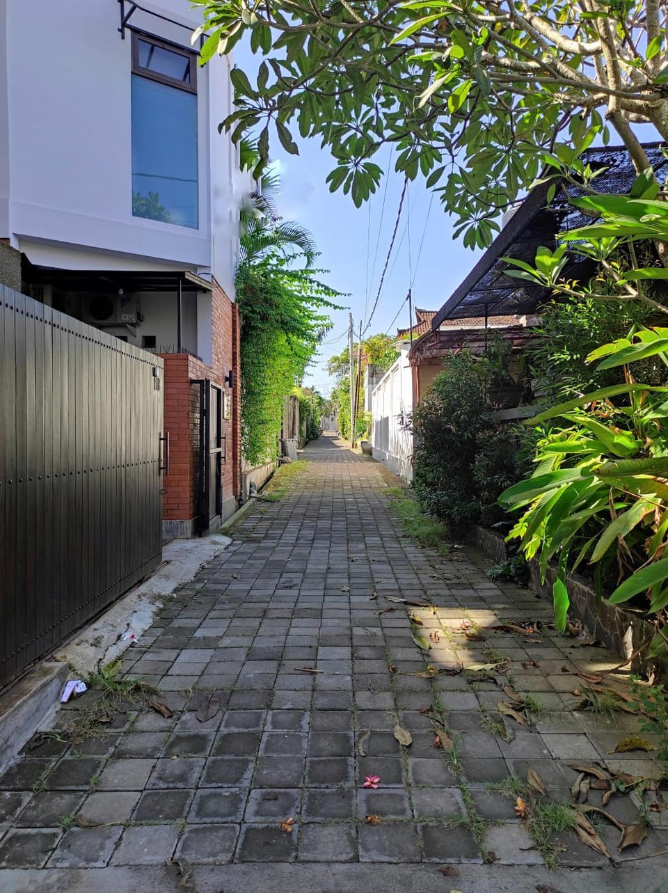 Neighbourhood, Street view
