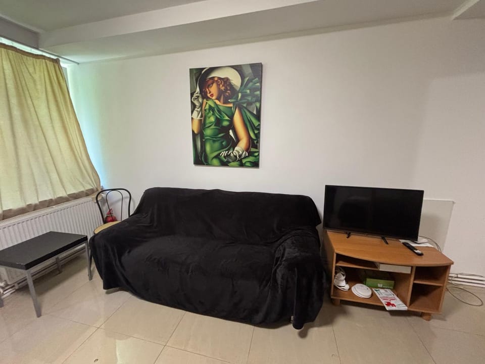 Bastion Apartament 2 Apartment in Timisoara