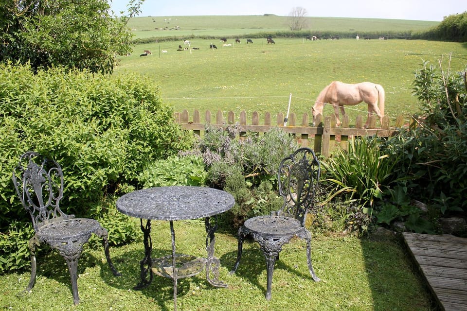 Day, Garden, View (from property/room), Animals, Garden view