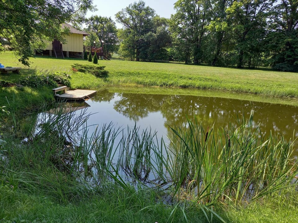 Natural landscape