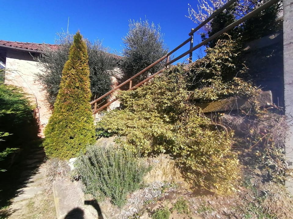 Bird's eye view, Garden, View (from property/room), Garden view, Mountain view