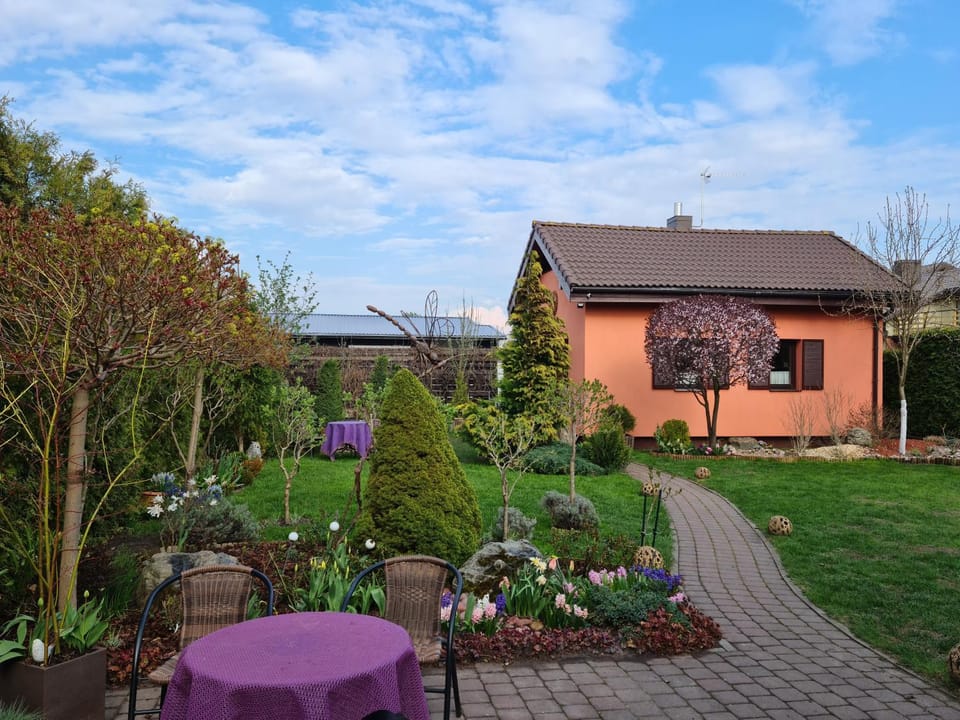 Property building, Spring, Day, Garden, Garden view
