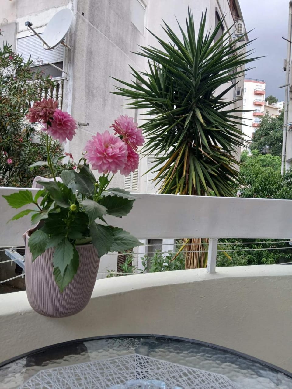 Niki Apartment in Budva