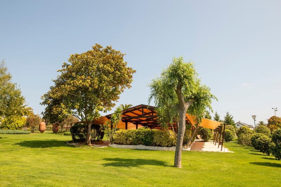 Day, Natural landscape, Garden, Garden