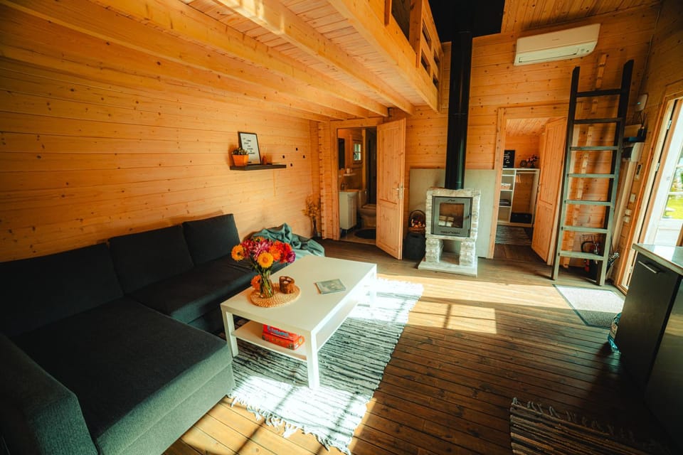 Living room, Seating area, fireplace, air conditioner