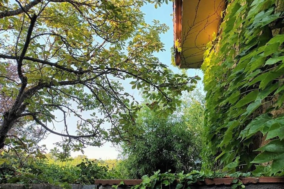 Acogedora casa en Majadahonda House in Community of Madrid