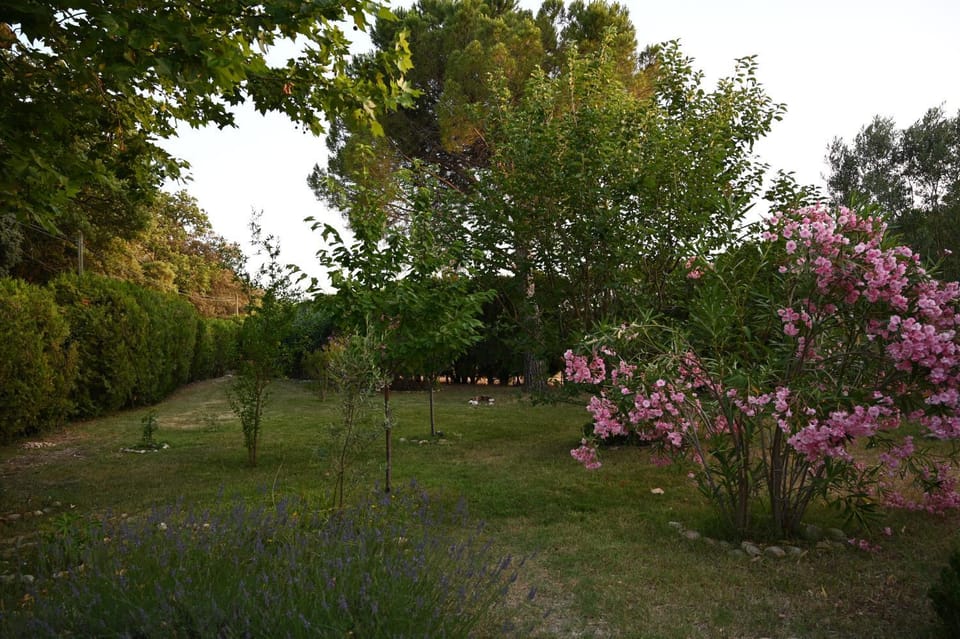 View (from property/room), Garden view