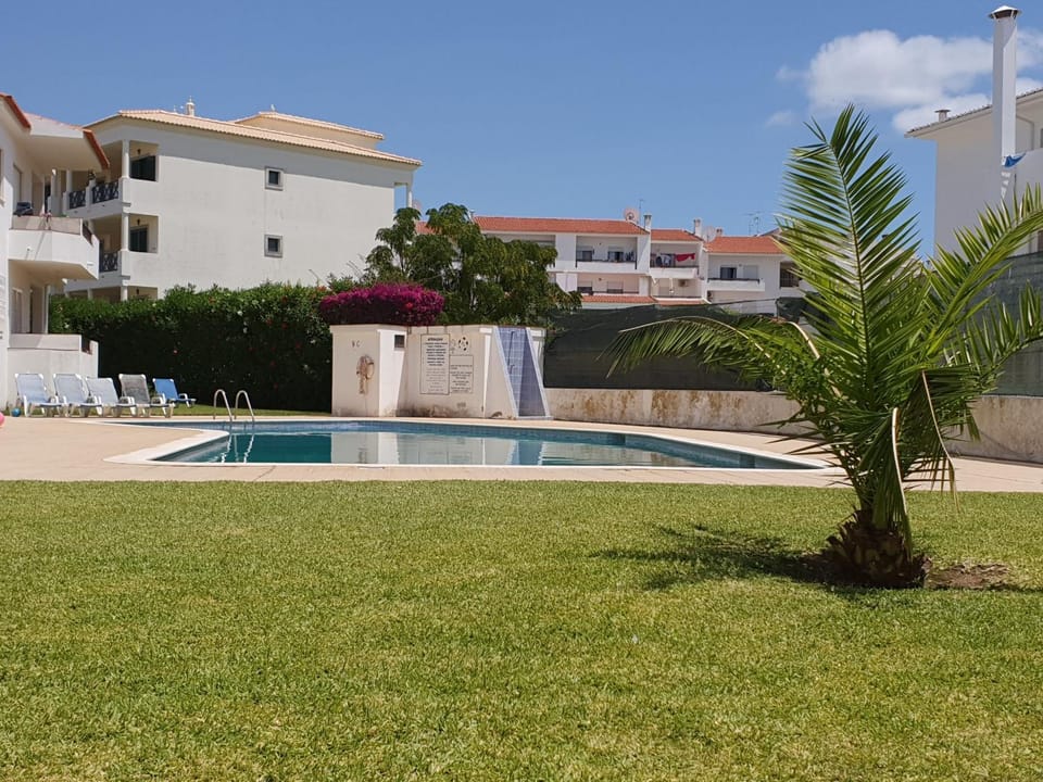 Patio, Garden, Garden view