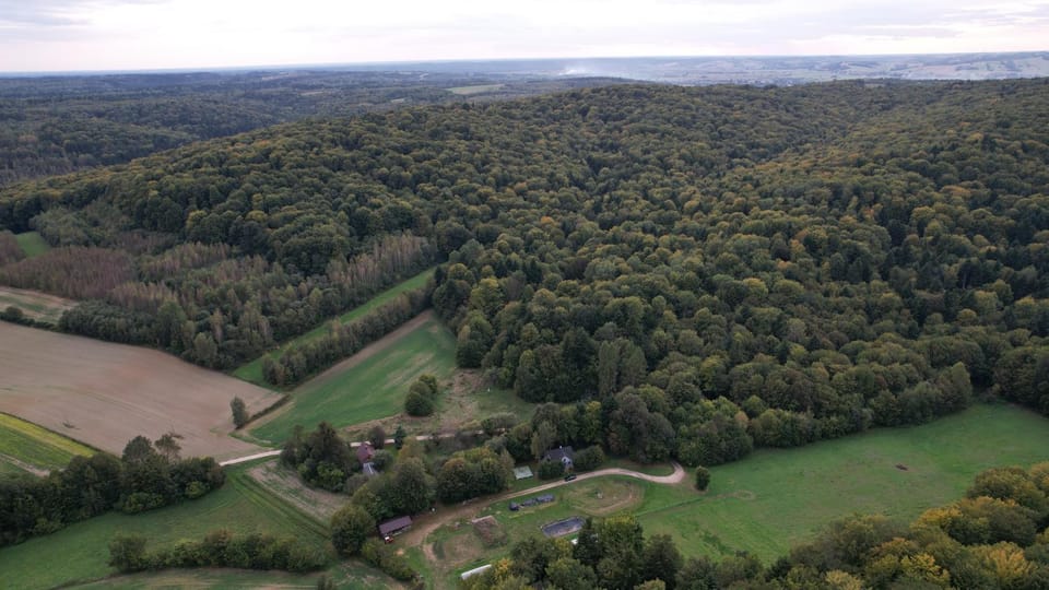 Biała chatka w lesie na Roztoczu House in Poland