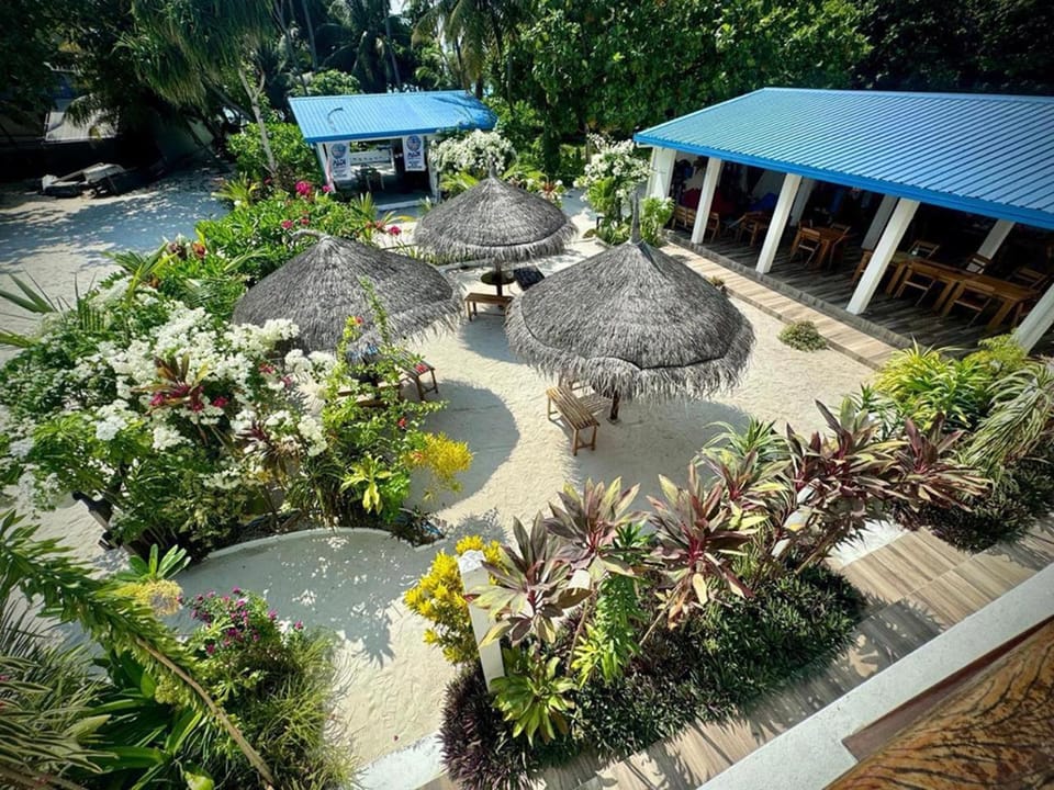 Day, Garden, Garden view