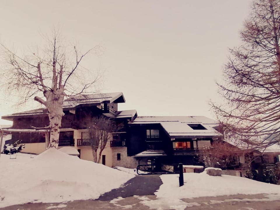 Appartement Rénové, Accès Direct aux Pistes, Balcon, Parking Gratuit, 5 Pers. - FR-1-181-2473 Apartment in La Plagne-Tarentaise