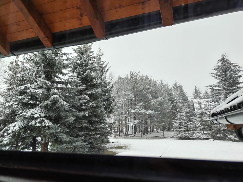 Apartman na brdu Apartment in Zlatibor