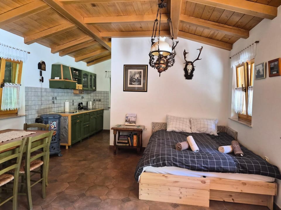 Bed, Kitchen or kitchenette, Photo of the whole room, Dining area, Bedroom, oven, pet friendly, stove