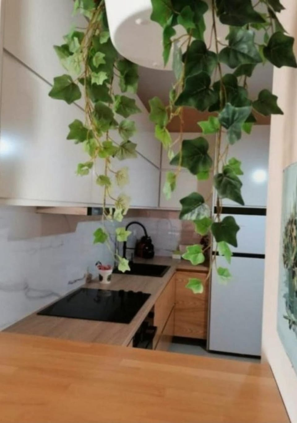 oven, kitchen