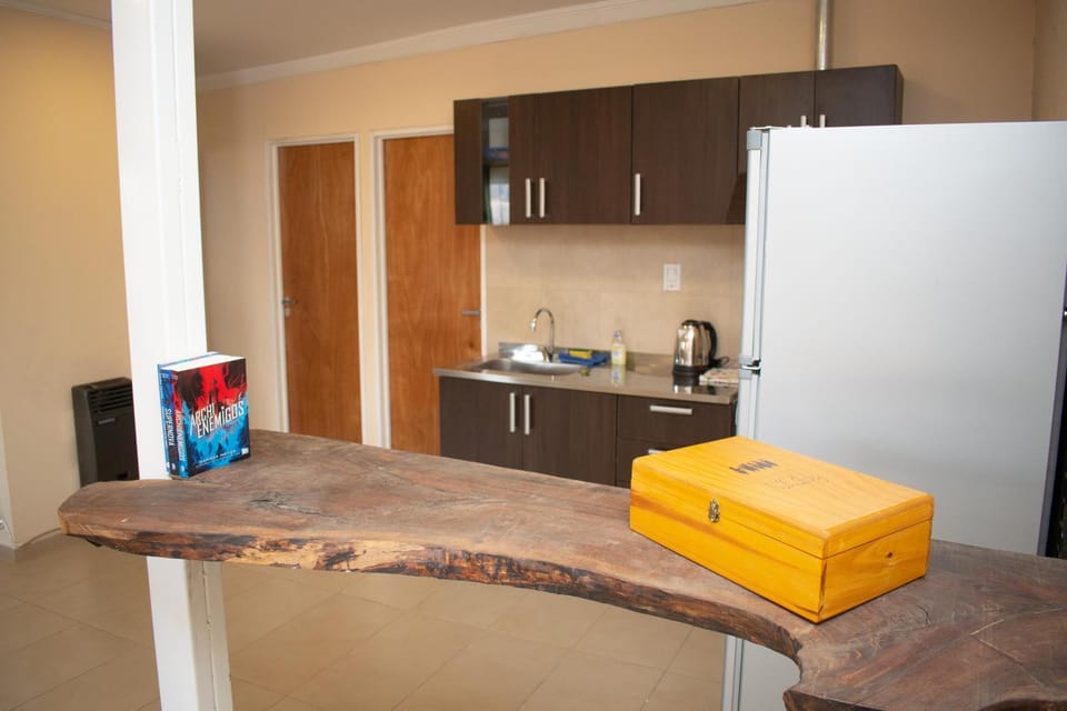 Aladdin Loft Apartment in Luján de Cuyo