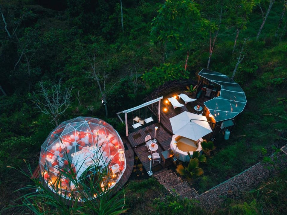 Night, Garden, Garden view