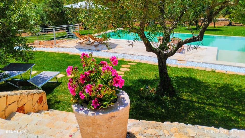 Natural landscape, Pool view, Swimming pool