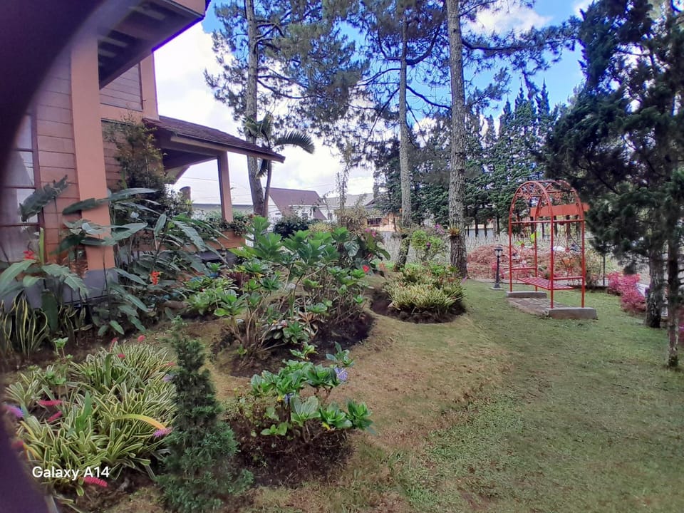 Day, Garden, Garden view