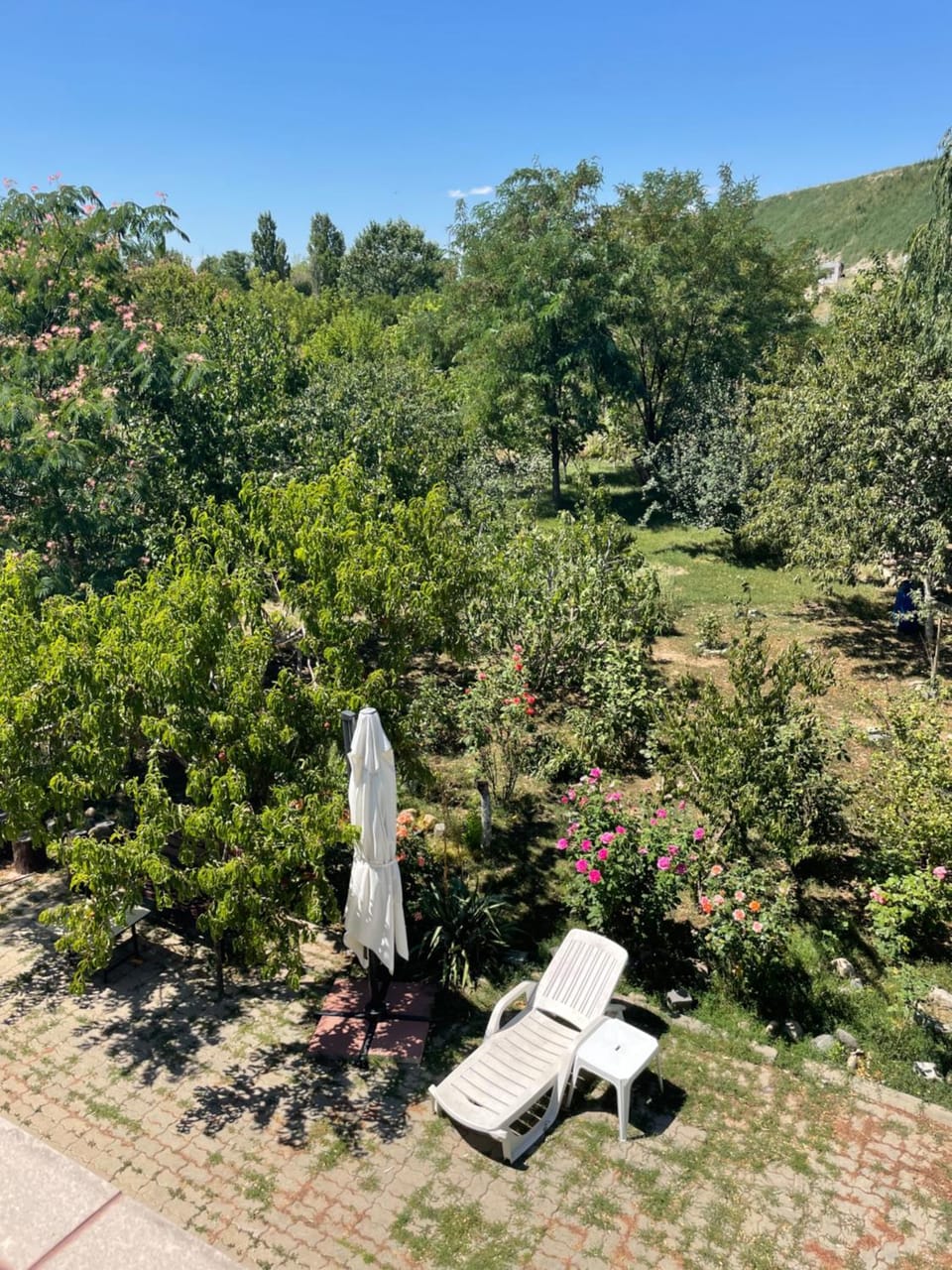 Natural landscape, Garden, Garden view, sunbed
