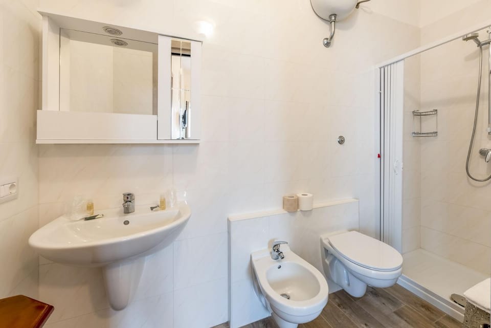Shower, Toilet, Bathroom, bidet