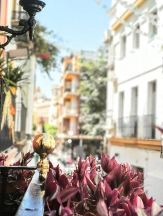 Typical Sevillan 2 bedroom unit Villa in Seville