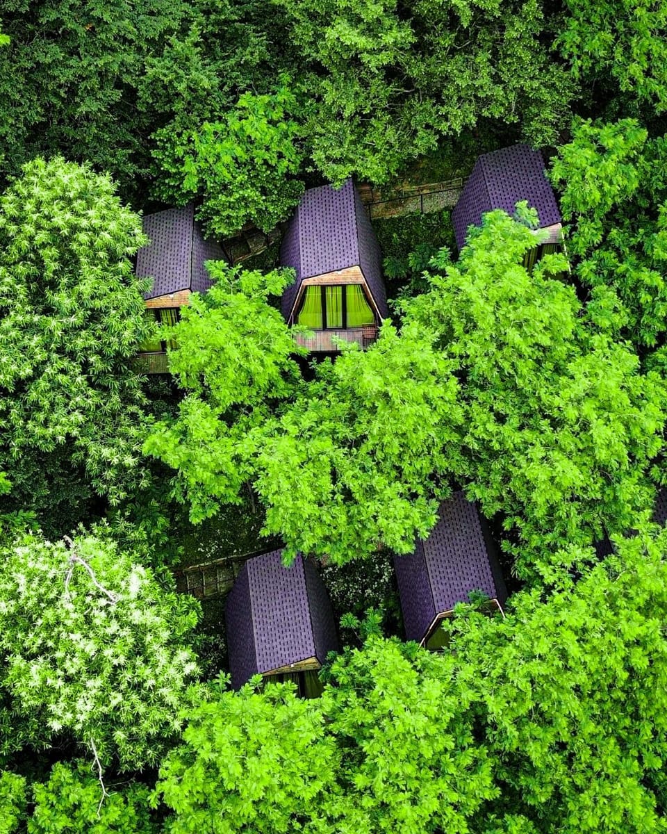 Day, Bird's eye view, Garden