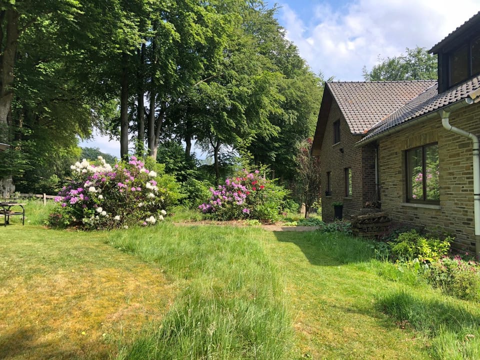 Property building, Spring, Natural landscape, Garden, Garden