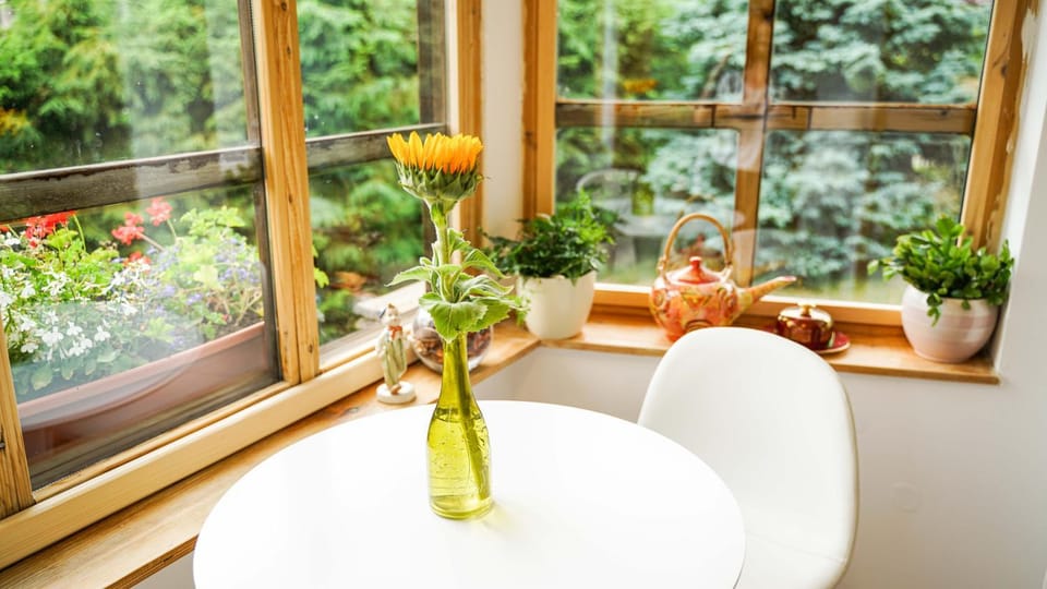 Spring, Seating area, Dining area, Garden view