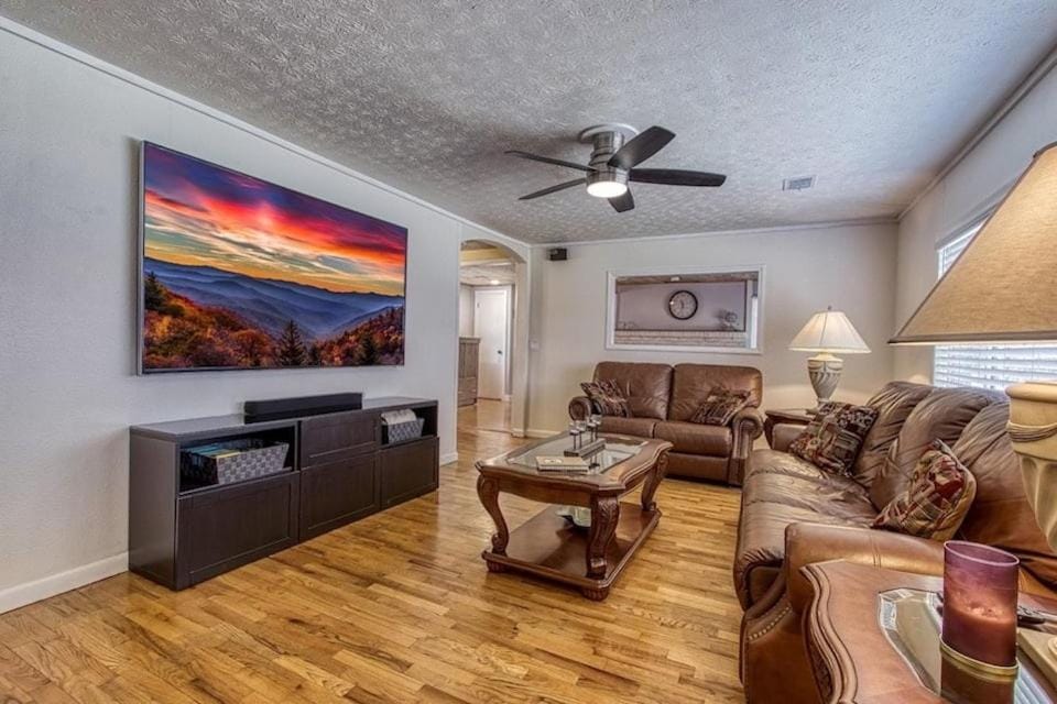 TV and multimedia, Living room