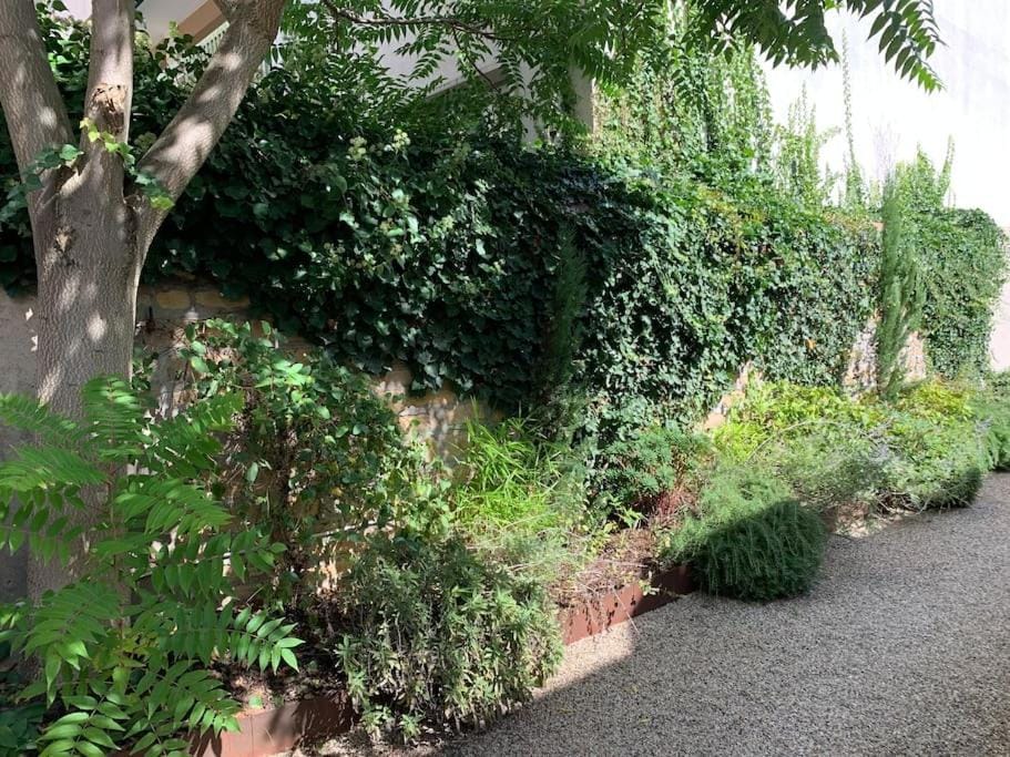 Natural Suite en centre ville avec SPA et jardin Apartment in Dijon