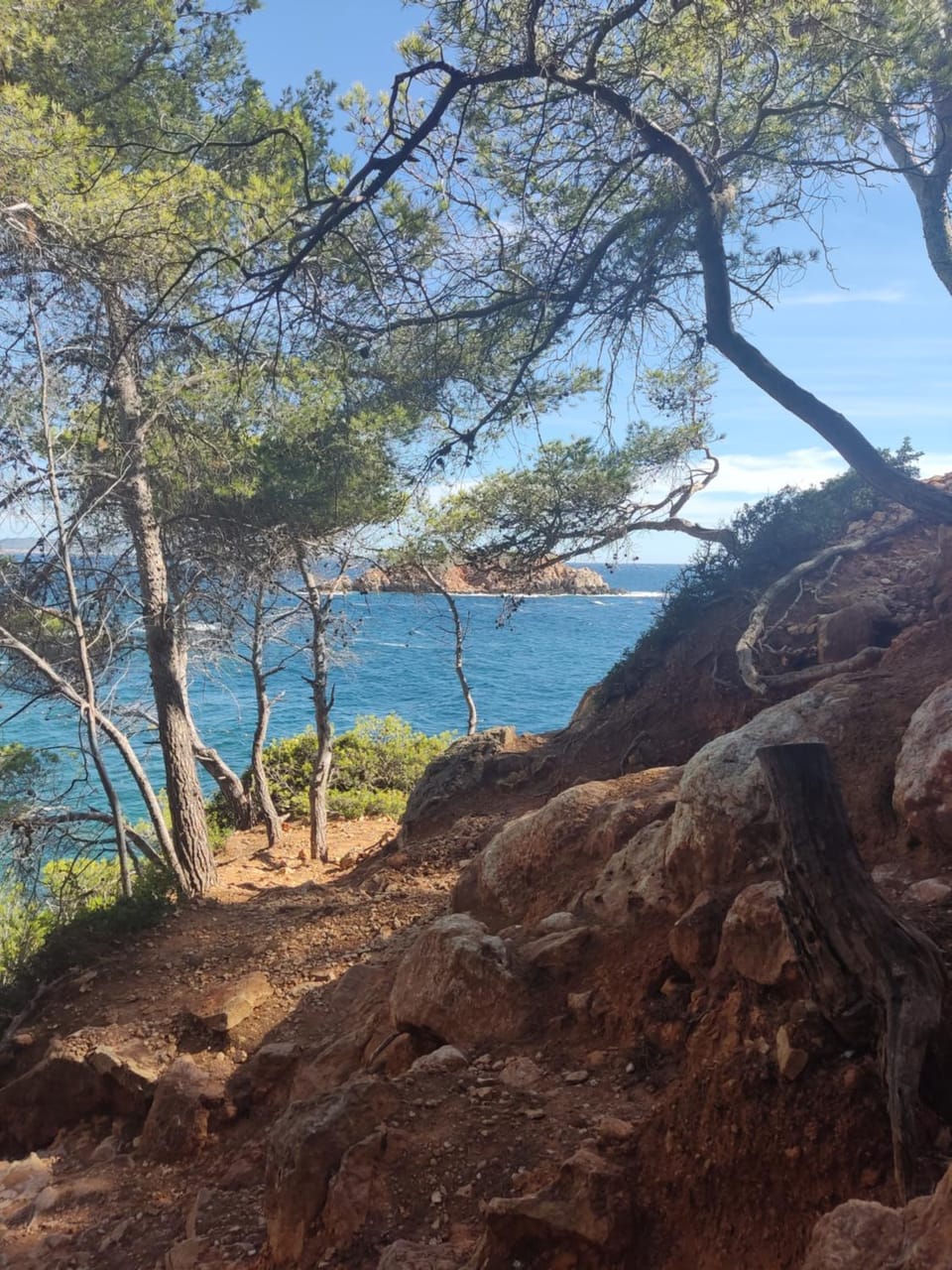 Natural landscape
