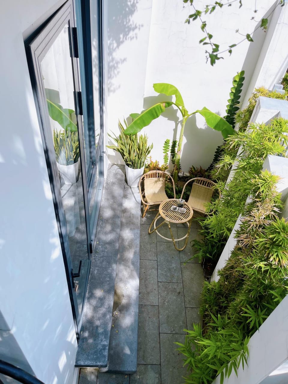 Garden view