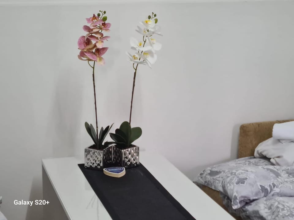 Kod nane Cane Apartment in Zlatibor District, Serbia