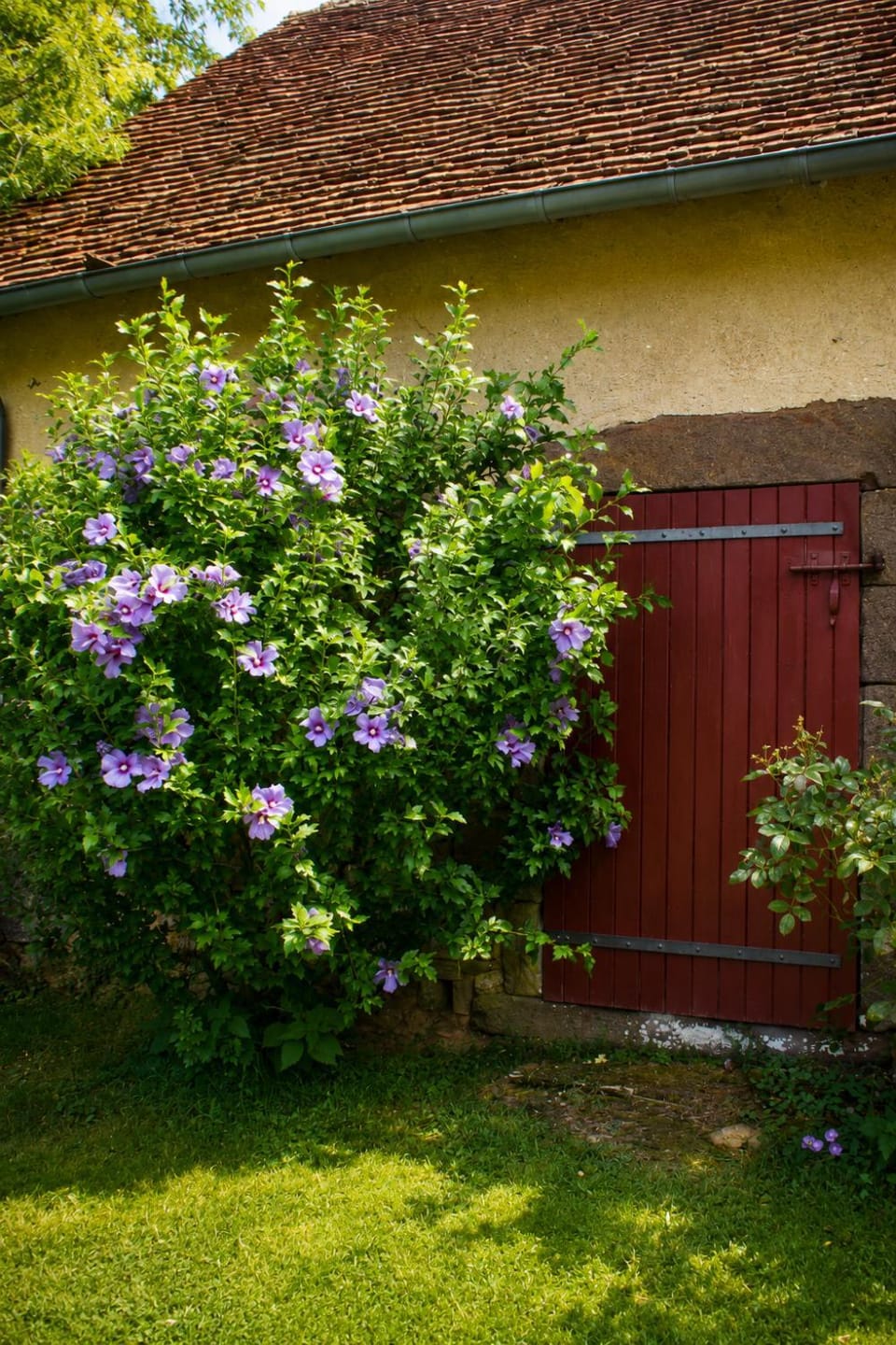 Garden, Garden view