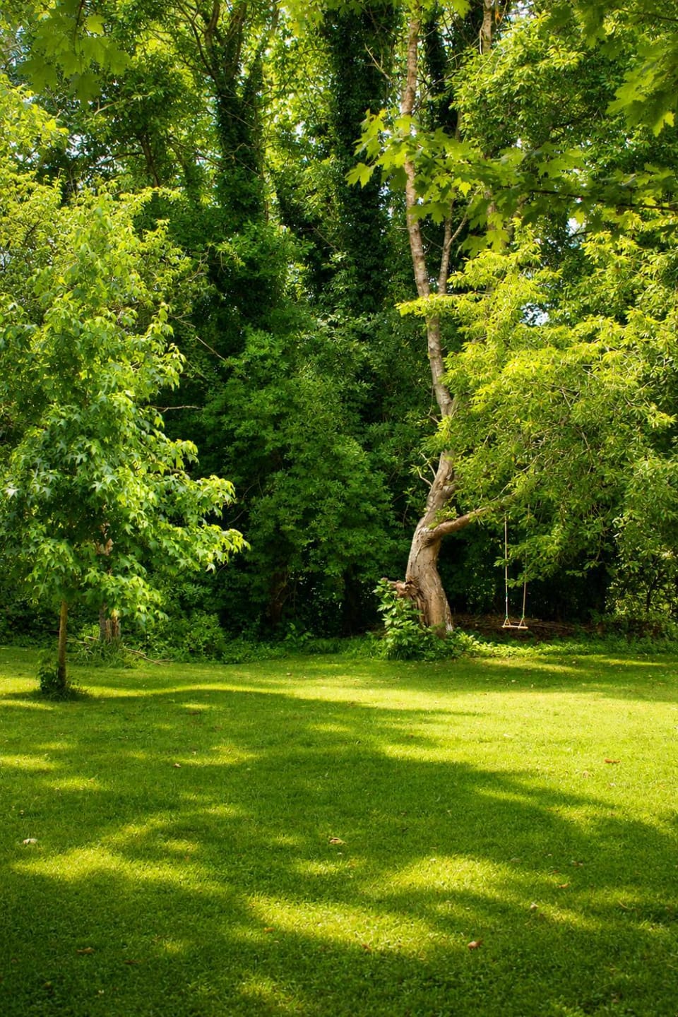 Natural landscape, Garden, Garden view