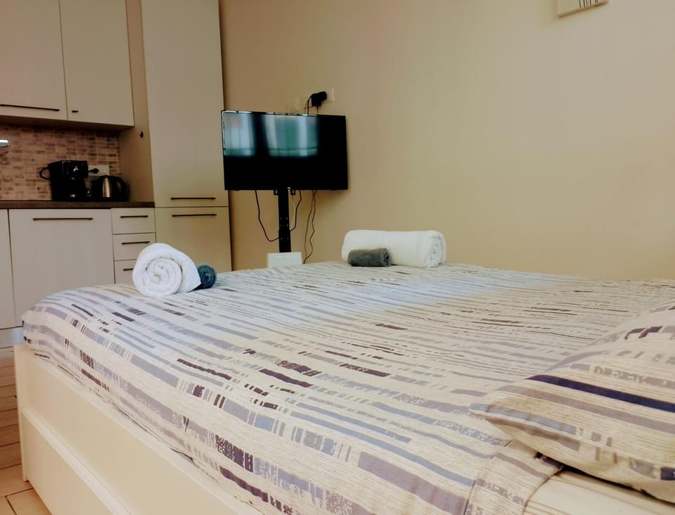 TV and multimedia, Kitchen or kitchenette, Photo of the whole room, Bedroom
