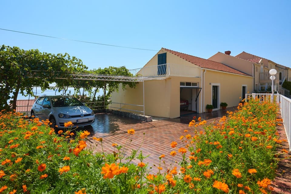 Property building, Patio, Garden